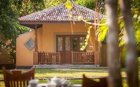 paddy bungalow