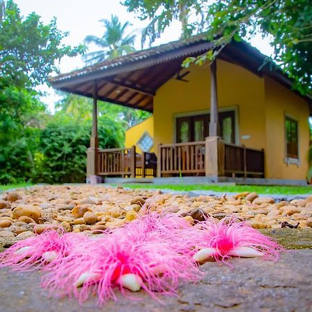 Birds Paradise Cabanas Unawatuna Exterior foto