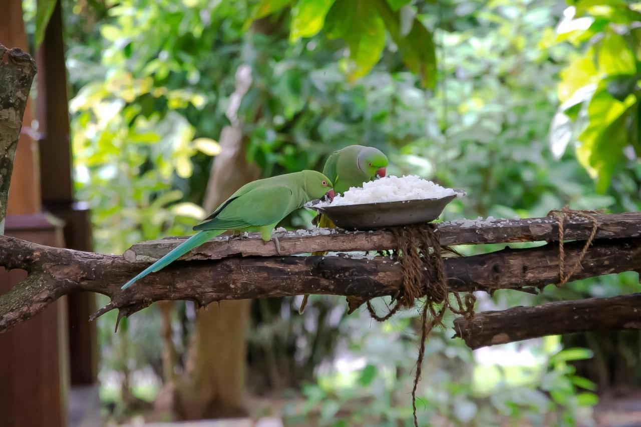 Birds Paradise Cabanas Unawatuna Exterior foto